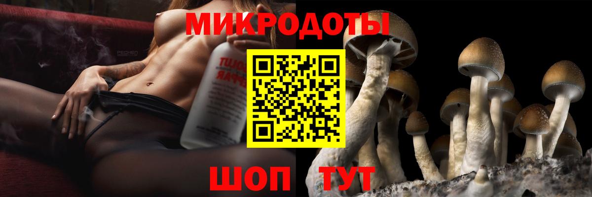 Лабытнанги  Псилоцибиновые грибы GOLDEN TEACHER  Вход с VPN  Псилоцибиновые грибы Magic Shrooms 